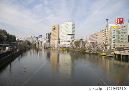 都会に咲く桜の風景イメージ 都会に咲く桜の風景イメージ 101943210
