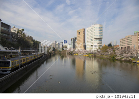 都会に咲く桜の風景イメージ 都会に咲く桜の風景イメージ 101943211