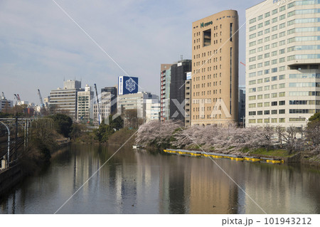 都会に咲く桜の風景イメージ 都会に咲く桜の風景イメージ 101943212