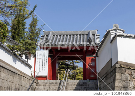 大阪・天王寺/坂松山高岳院一心寺南門(2023年4月1日撮影) 大阪・天王寺/坂松山高岳院一心寺南門(2023年4月1日撮影) 101943360