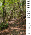 森の中を抜ける登山道（兵庫県川西市・舎羅林山） 101943538