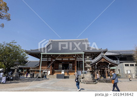 大阪・天王寺/坂松山高岳院一心寺大本堂(2023年4月1日撮影) 大阪・天王寺/坂松山高岳院一心寺大本堂(2023年4月1日撮影) 101943642