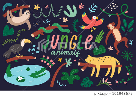 Jungle animals set, tropic mammals, swimming crocodile, hanging sloth, sleeping leopard, flying macaw parrot, various tropical leaves and trees 101943675