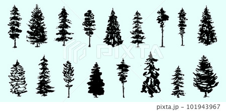 Christmas trees. Fir trees. Textured ink brush...のイラスト素材 [101943967 ...
