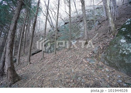 群馬県桐生市黒保根町　荒神山　登山道にある巨石　2023年1月13日 101944026
