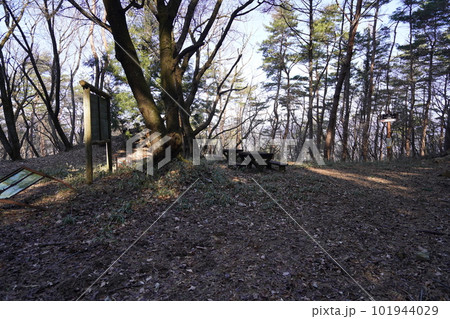 群馬県桐生市黒保根町　荒神山　山頂付近の休憩広場　2023年1月13日 101944029
