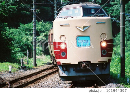 東京へ向けて内房線をゆく183系のL特急さざなみ号 101944397