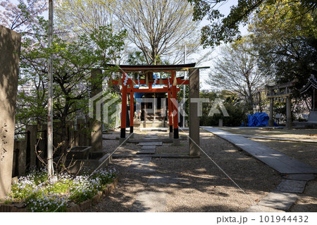 大阪・天王寺安居神社の稲荷神社赤鳥居(2023年4月1日撮影) 大阪・天王寺安居神社の稲荷神社赤鳥居(2023年4月1日撮影) 101944432