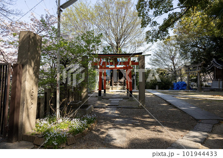 大阪・天王寺安居神社の稲荷神社赤鳥居(2023年4月1日撮影) 大阪・天王寺安居神社の稲荷神社赤鳥居(2023年4月1日撮影) 101944433
