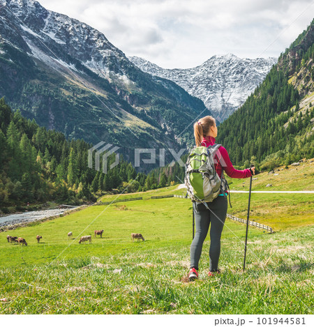 Young woman hiking in the mountains 101944581