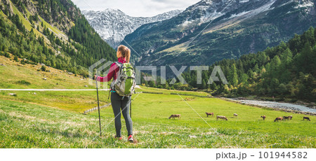 Young woman hiking in the mountains 101944582
