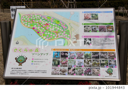 伊丹市緑ヶ丘公園 さくらの丘 ゾーンマップ 伊丹市緑ヶ丘公園 さくらの丘 ゾーンマップ 101944843
