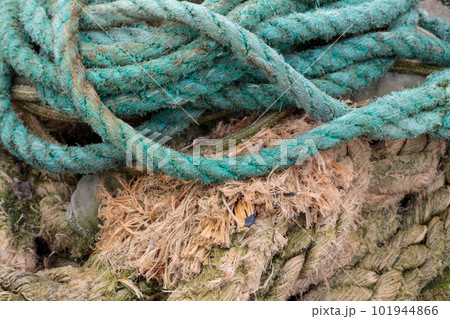 Close-up of old thick fishing ropes, heavily damaged. Close-up of old thick fishing ropes, heavily damaged. 101944866