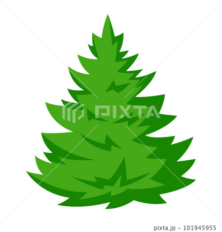 Illustration of fir tree. Forest or park landscape element. Seasonal image. Illustration of fir tree. Forest or park landscape element. Seasonal image. 101945955