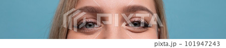 horizontal wide closeup photo of stunning female eyes in love 101947243