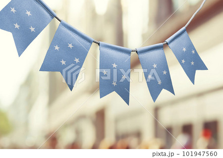 A garland of Federated States Micronesia national flags on an abstract blurred background 101947560