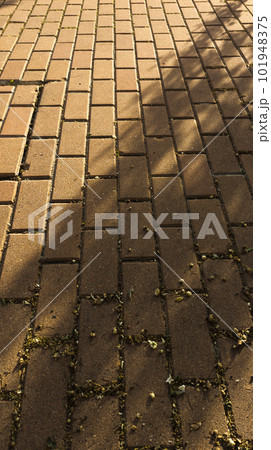 Portion of tiled floor with rectangular tiles 101948375