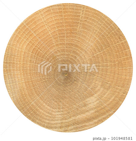 Oak wood log, can be used as background, wood grain texture 101948581