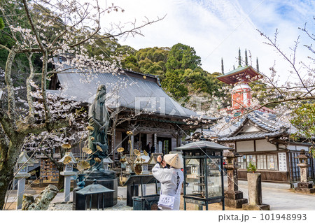 【第23番札所】春の薬王寺 魚籃観音 本堂 瑜祇塔【四国八十八箇所】 【第23番札所】春の薬王寺 魚籃観音 本堂 瑜祇塔【四国八十八箇所】 101948993