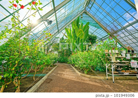 函館市熱帯植物園 101949306