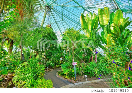 函館市熱帯植物園 101949310