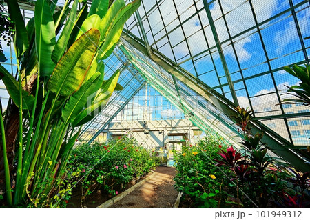 函館市熱帯植物園 101949312