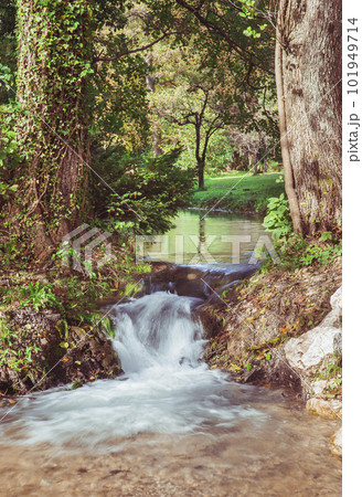 Beautiful stream in the autumn park in Slovenia Beautiful stream in the autumn park in Slovenia 101949714