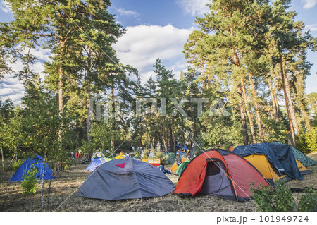 Tent city in the forest in Ukraine 101949724