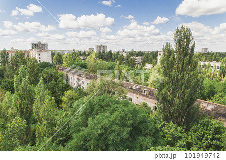Ghost town Pripyat overgrown by wild self-seeding forest Ghost town Pripyat overgrown by wild self-seeding forest 101949742