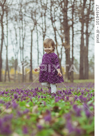 blond baby in a colored dress walks in a forest glade with flowers blond baby in a colored dress walks in a forest glade with flowers 101949757