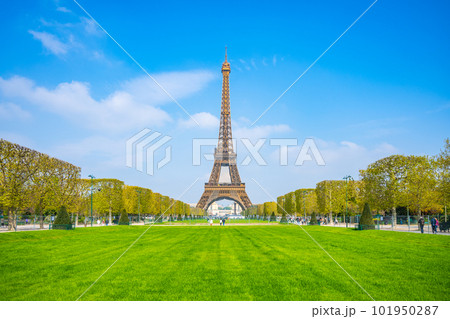 Eiffel Tower on sunny spring day. View from green lawn on Champs de Mars. Paris, France 101950287
