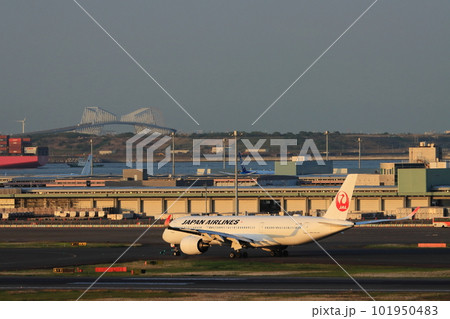 夕日を浴びてタキシングする旅客機　夕方の羽田空港 101950483