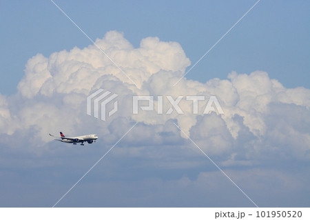 夏空に飛ぶ旅客機　夏の雲を背景に着陸進入する旅客機 101950520