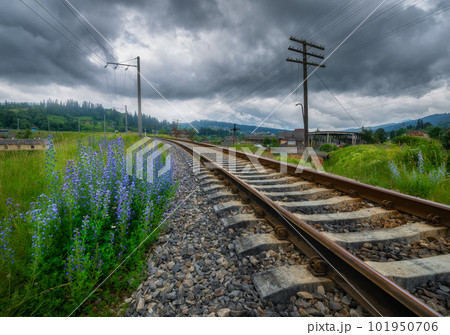 Rural railroad in mountains and blue flowers in overcast day Rural railroad in mountains and blue flowers in overcast day 101950706