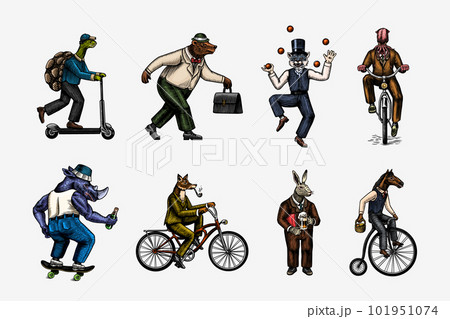 Fox on a bicycle, Cat juggler, turtle on a scooter. Bear, horse, hare, Owl, Squid. Fashion Animal 101951074