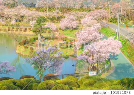 【ため池百選】春の荒神山ため池【荒神山スポーツ公園】 101951078