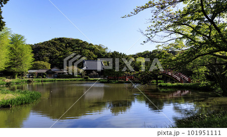 新緑が映える称名寺の風景 101951111