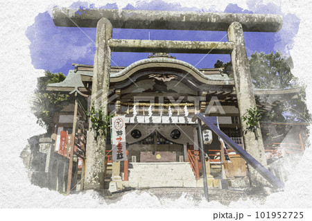 水彩画風　引田　誉田八幡神社　拝殿　香川県東かがわ市 101952725