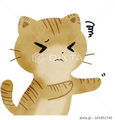 嫌がる猫 101952740