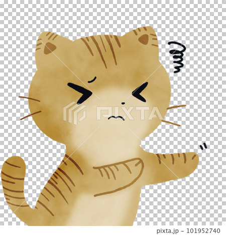 嫌がる猫 101952740