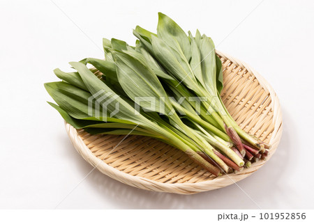 〈岩手県産〉行者にんにく 〈岩手県産〉行者にんにく 101952856