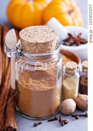 Pumpkin pie spice in a glass jar with ingredients 101952857
