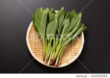 〈岩手県産〉行者にんにく 〈岩手県産〉行者にんにく 101952858