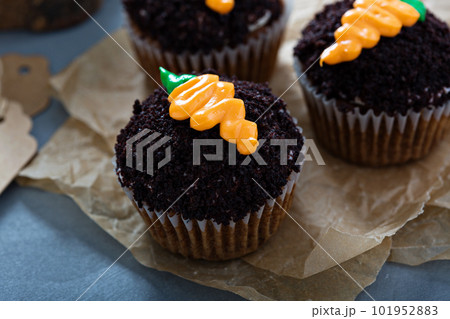 Carrot cupcakes with chocolate crumbs and frosting 101952883
