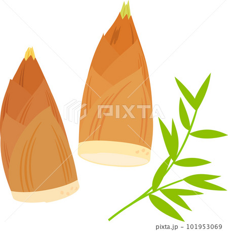 タケノコと竹の葉 101953069