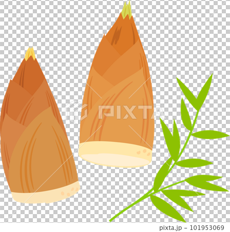 タケノコと竹の葉 101953069