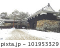 雪の積もった高知城 101953329