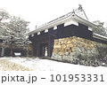雪の積もった高知城 101953331