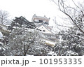 雪の積もった高知城 101953335