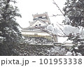 雪の積もった高知城 101953338